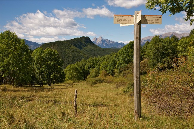 Sortida a la serra del Catllaràs (2014)