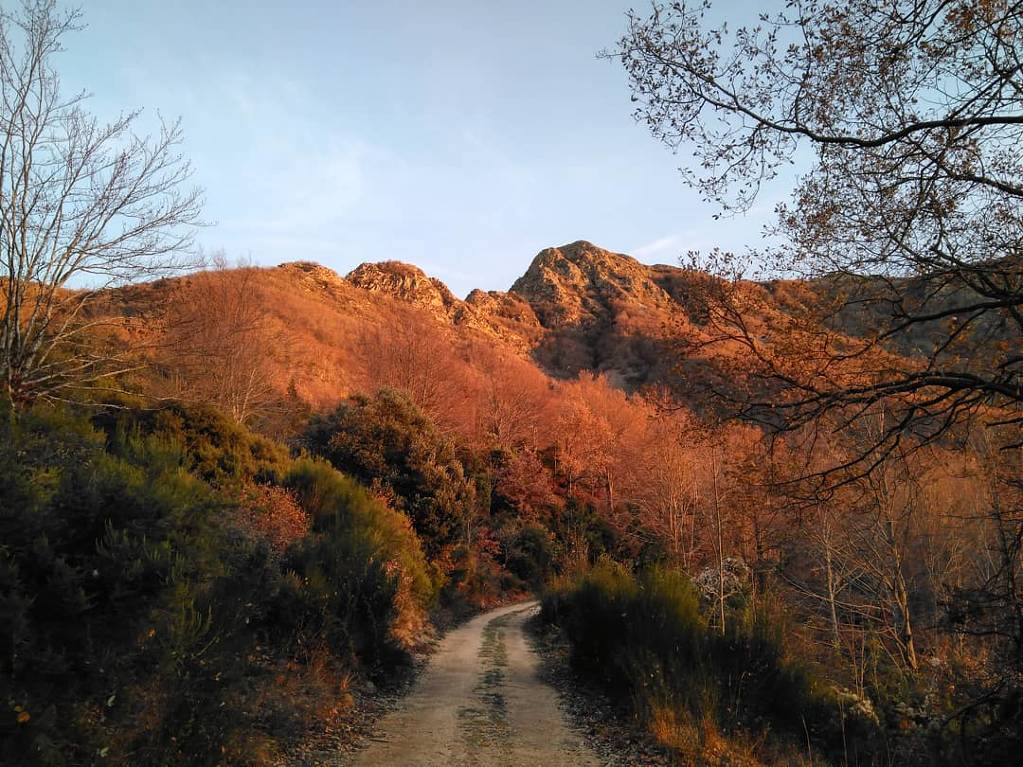 Sortida al Montseny (2018)