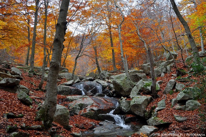 Sortida al Montseny (2013)