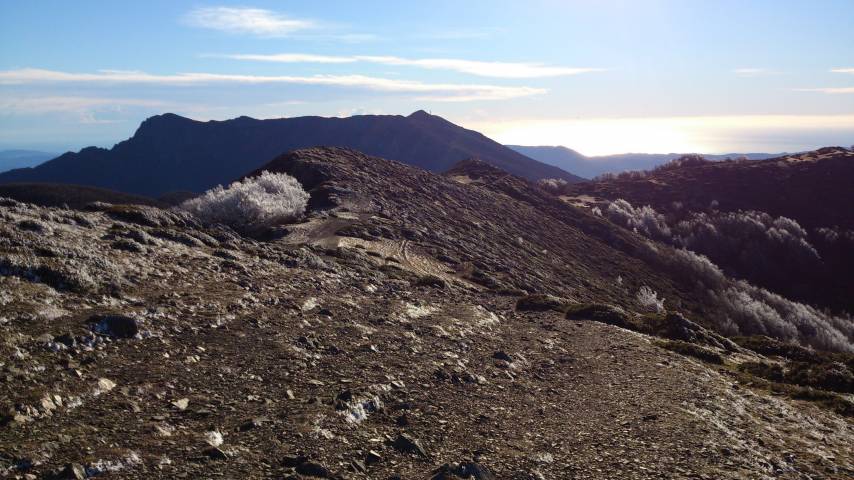 Sortida al Montseny (2017)